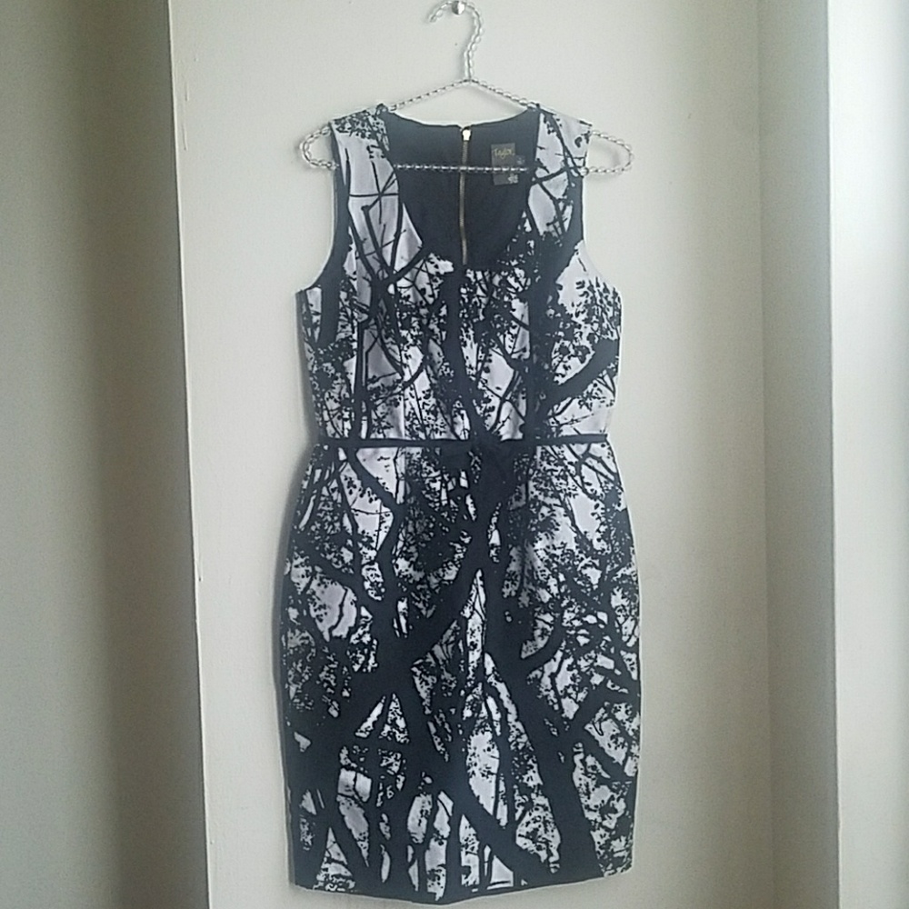 Taylor Black/White Dress Size 6